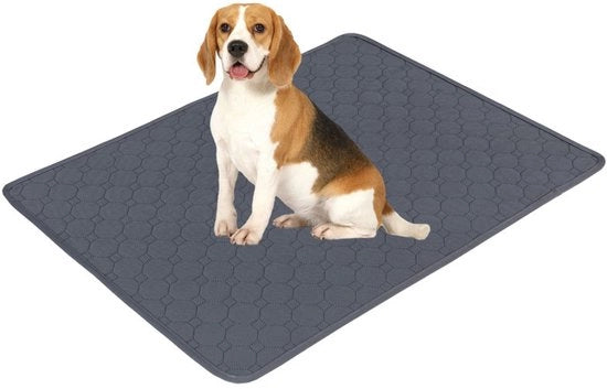 Due pezzi di tappeto di allenamento ultra-assorbenti per cani, copri-matrimonio riciclabile per cane e cucciolo, adatto per cani/gatti/cavie (60 x 45 cm) S - grigio