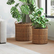 Cestino per piante con archiviazione 2 pcs Marrone Rattan Lacak 42020952