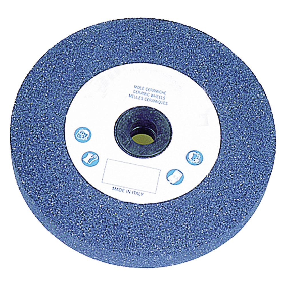 MOLA ABRASIVA ø 100 x 13 F. 13 gr.60  - BricoGo
