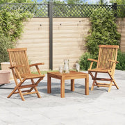 Sedie da Giardino Pieghevoli 2 pz in Legno Massello di Teak