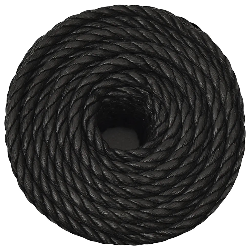 Corda | Fune da Lavoro Nera 10 mm 50 m in Polipropilene