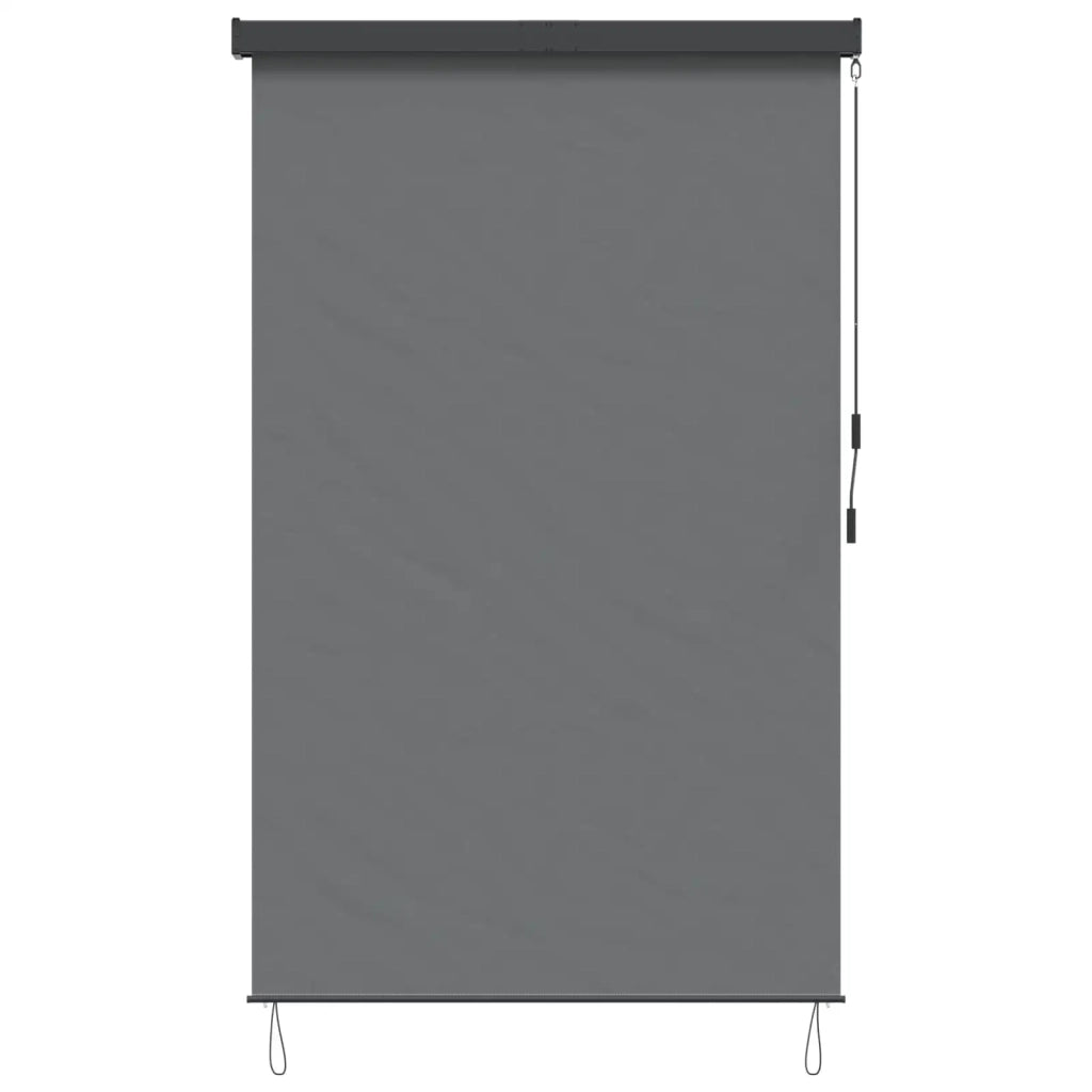 Tenda a rullo Grigio Chiaro 60 x 250 cm Tessuto e Alluminio 42037169
