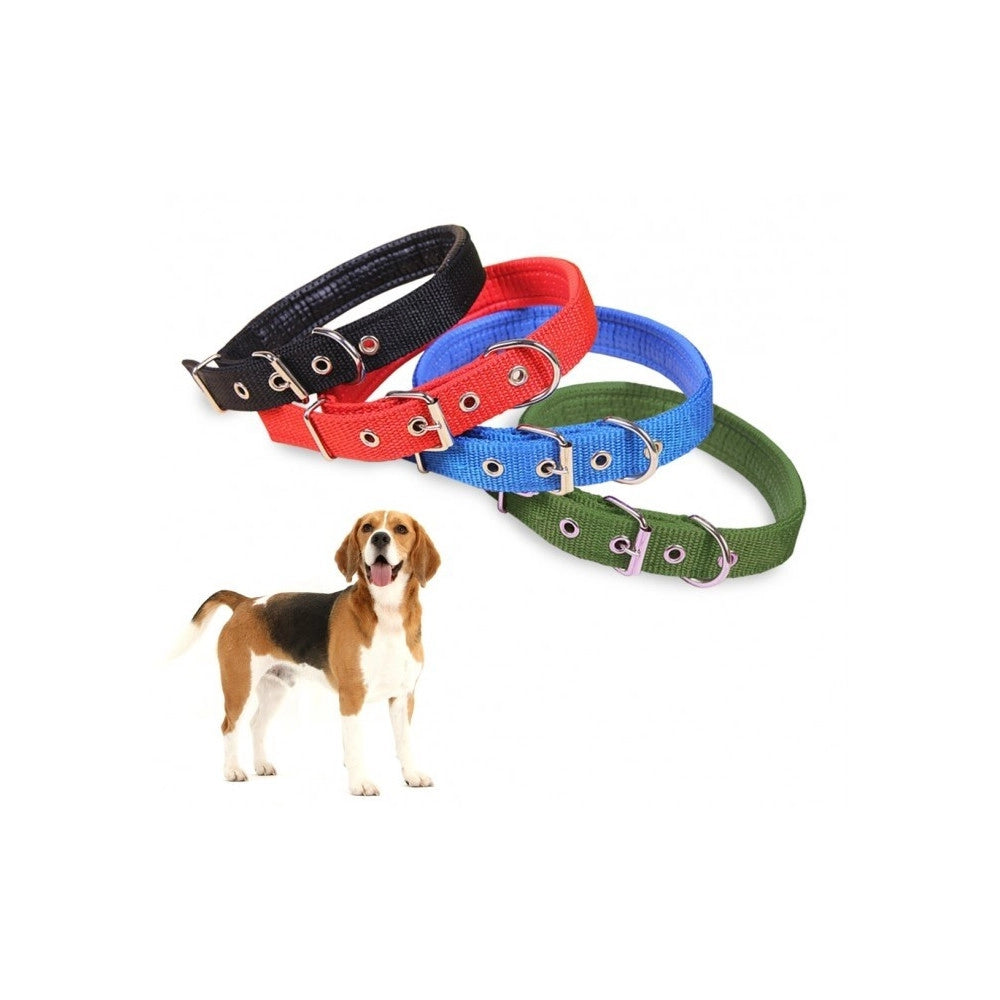Trade Shop - Collare In Nylon C/ Imbottitura Per Cani Di Tg. Media Chiusura Fibbia Regolabile -