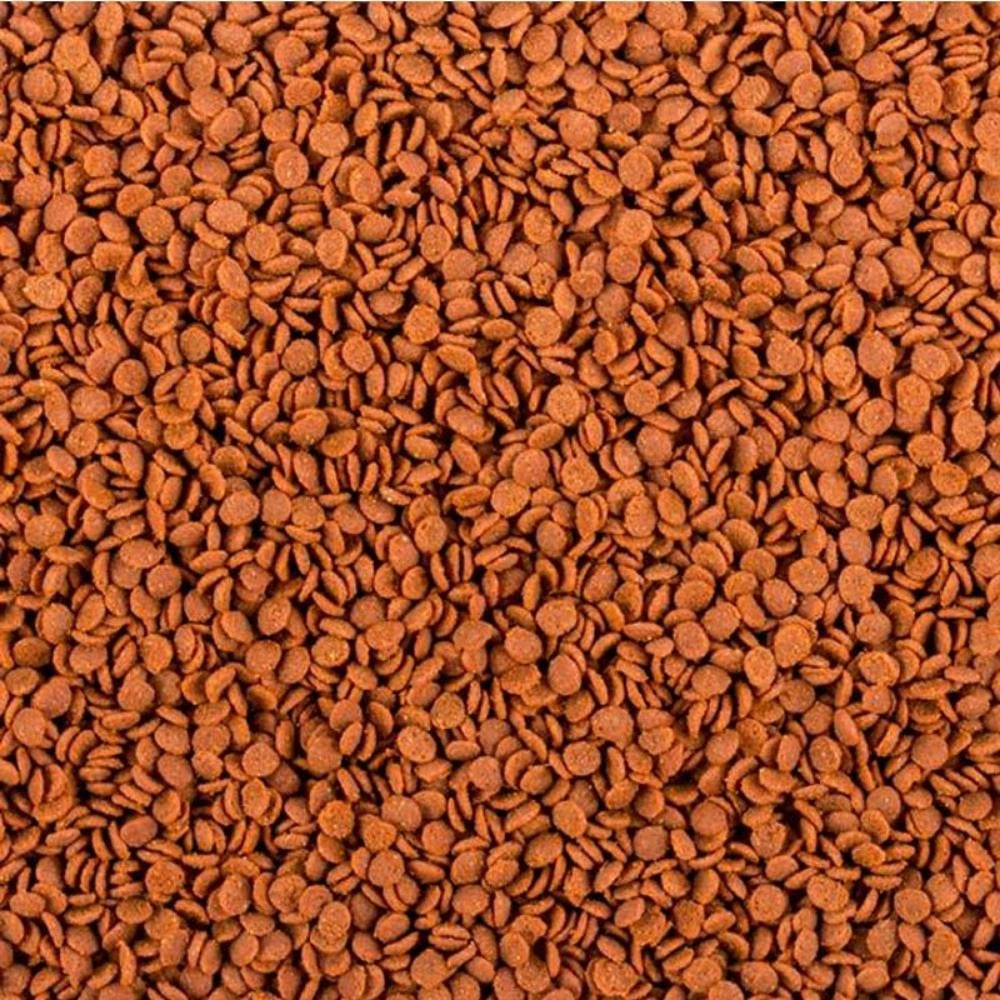 Tropical SoftLine Africa - Mangime per Pesci Africani Formato: 100 ml, Modello: Carnivore