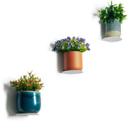 Pianta a muro, piante d'arte e naturali, vasi decorativi per interni ed esterni (bianco, 3-pack)