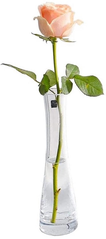 Vaso in vetro soffiato a mano - Prodotto artigianale - Vaso per fiori per 1-2 bouquet - Base stabile - Decorazione per casa/ufficio - Vetro cristallo trasparente 

Modello: 
Dimensioni: 
Materiali: 
Peso: 
Codice prodotto: Solidchoice- 123456