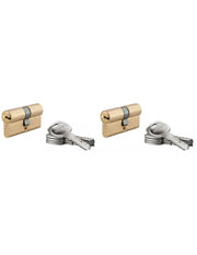 Set di 2 cilindri europei 5G 30 x 30 mm, finitura ottone, 10 chiavi reversibili – THIRARD