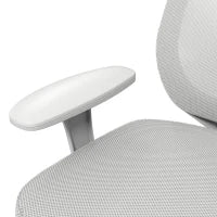 Sedia da Ufficio Ergonomica e Reclinabile ad Altezza Regolabile con 5 Rotelle, 55x48x82.5-94.5 cm, Grigia