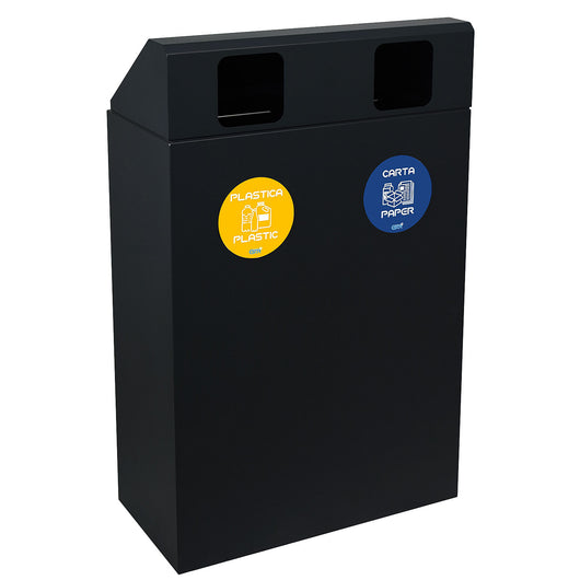 Pattumiera per Raccolta Differenziata 2 Scomparti 120 L 60x30x96 cm in Acciaio Verniciato Antracite