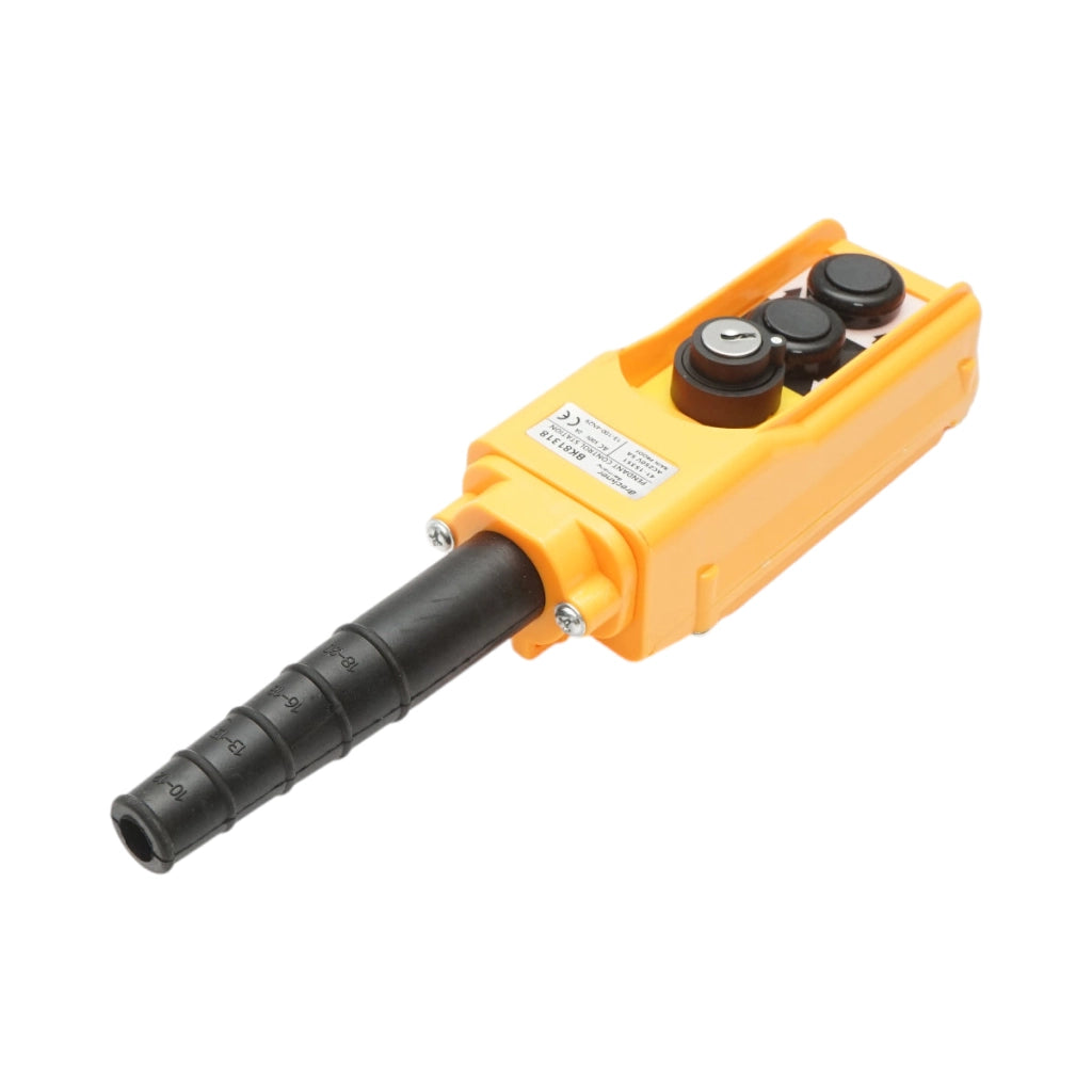 Telecomando industriale con 2 comandi e interruttore generale con chiave – AC 250V/5A – 500V/2A Breckner Germany