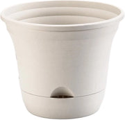 Pianta da Interno e Esterno Autoirrigata - Grande Vaso 30cm - Giardino e Fioriera
