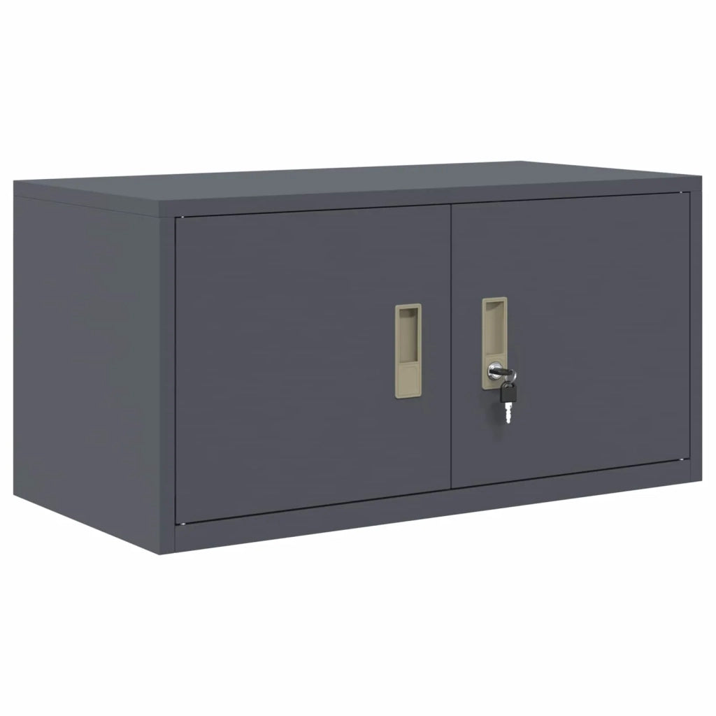 Armadio Antracite 80 x 40 x 40 cm Acciaio