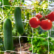 Rete di supporto per piante 10 x 1,67 m - Aiuto al clima - Rete per giardino - Materiale poliestere duraturo - Resistente alle intemperie - Alta resistenza al carico - Rete per clima