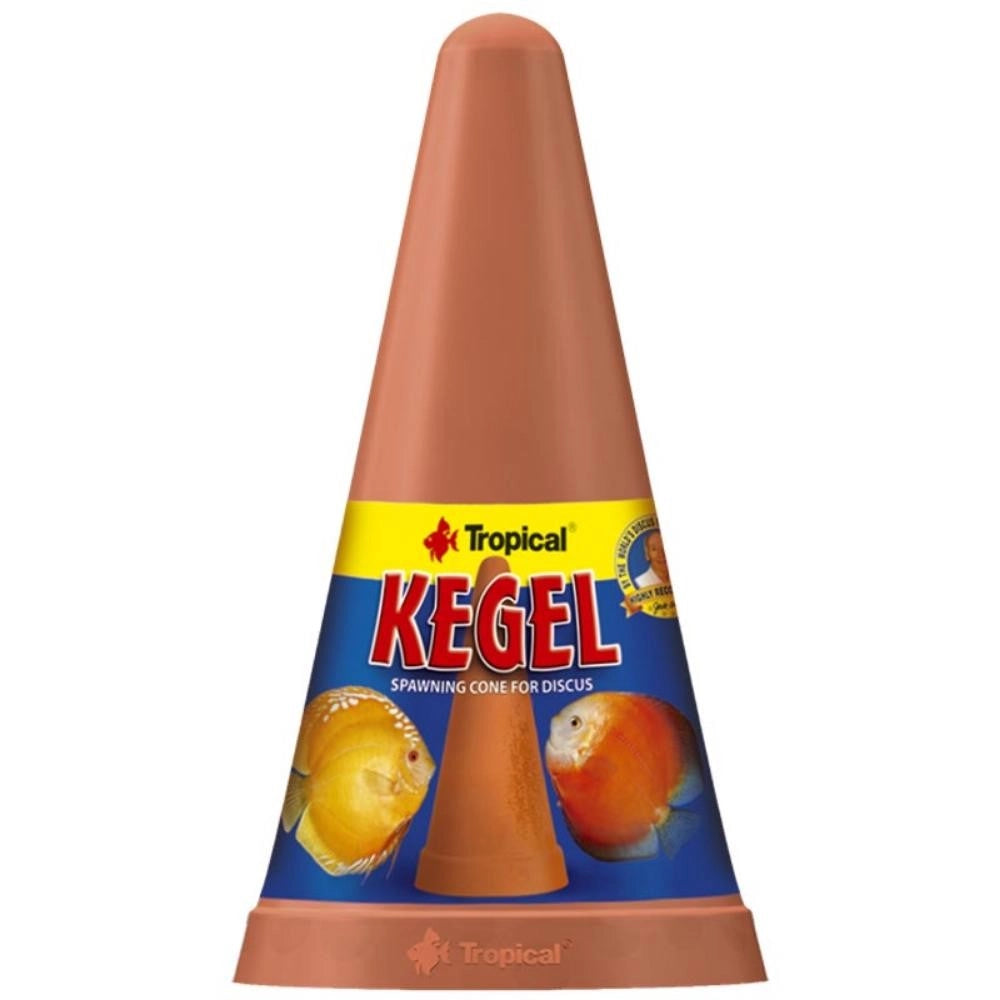 Tropical Kegel - Cono di deposizione per Discus
