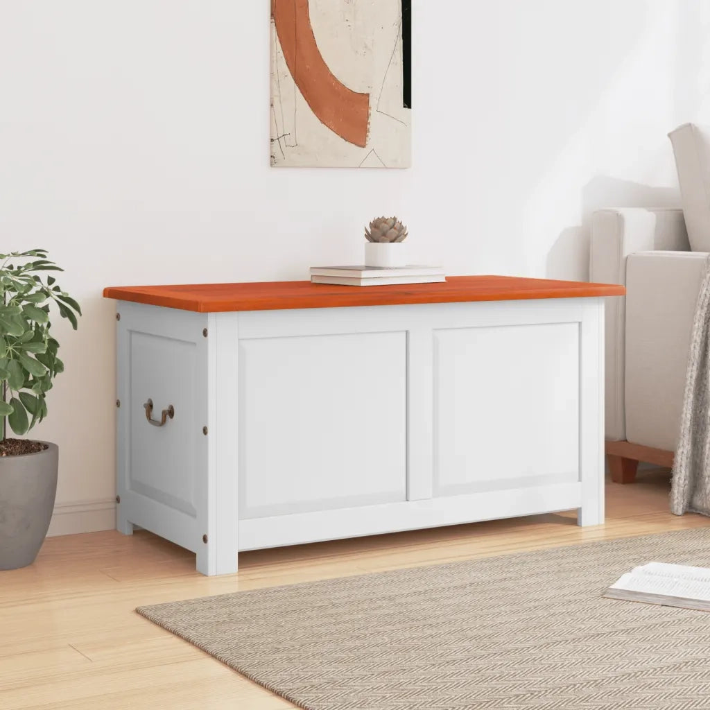 Cassapanca con Coperchio-Baule-Armadietto contenitore Marrone e Bianco Legno Massello Acacia 105340