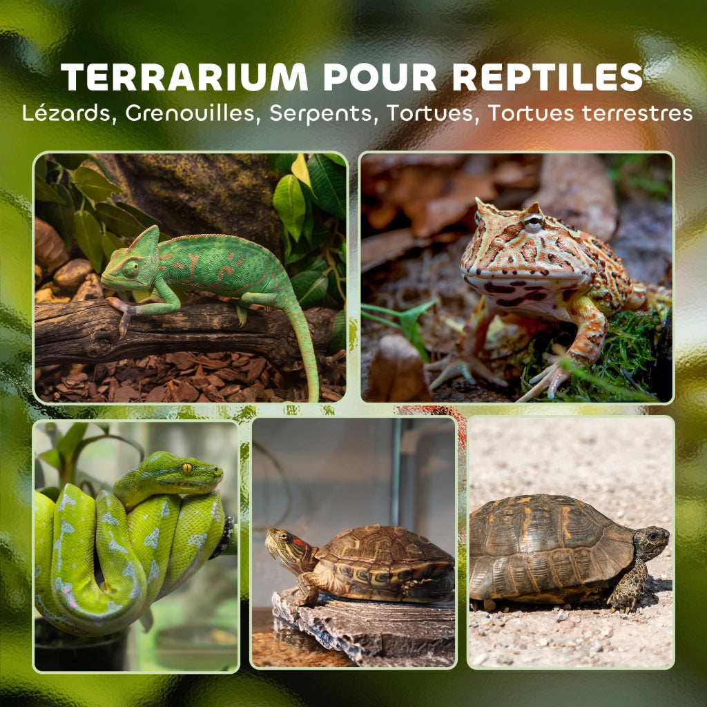 Terrario per Rettili con Chiusura Sicura ¨C Zephmum ¨C Nero 50x30x35cm