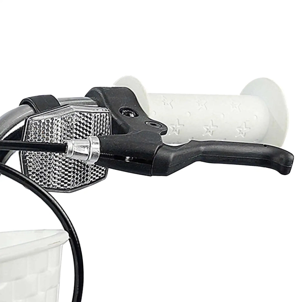 Bicicletta per Bambini 20 Pollici 42009601