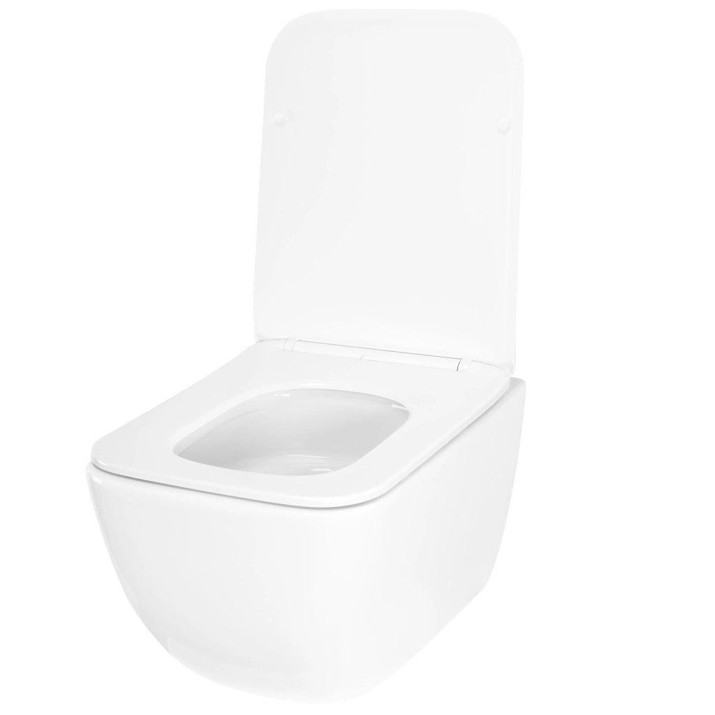 Vaso Wc Rea Dexter Tornado