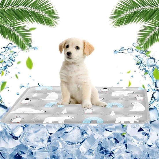 Matte per cani, 40 x 50 cm, matte per gatti, coperta rinfrescante per cani, lavabile, rinfrescante da solo con gel inerte non tossico, adatto per piccoli gatti e cani (penguin)