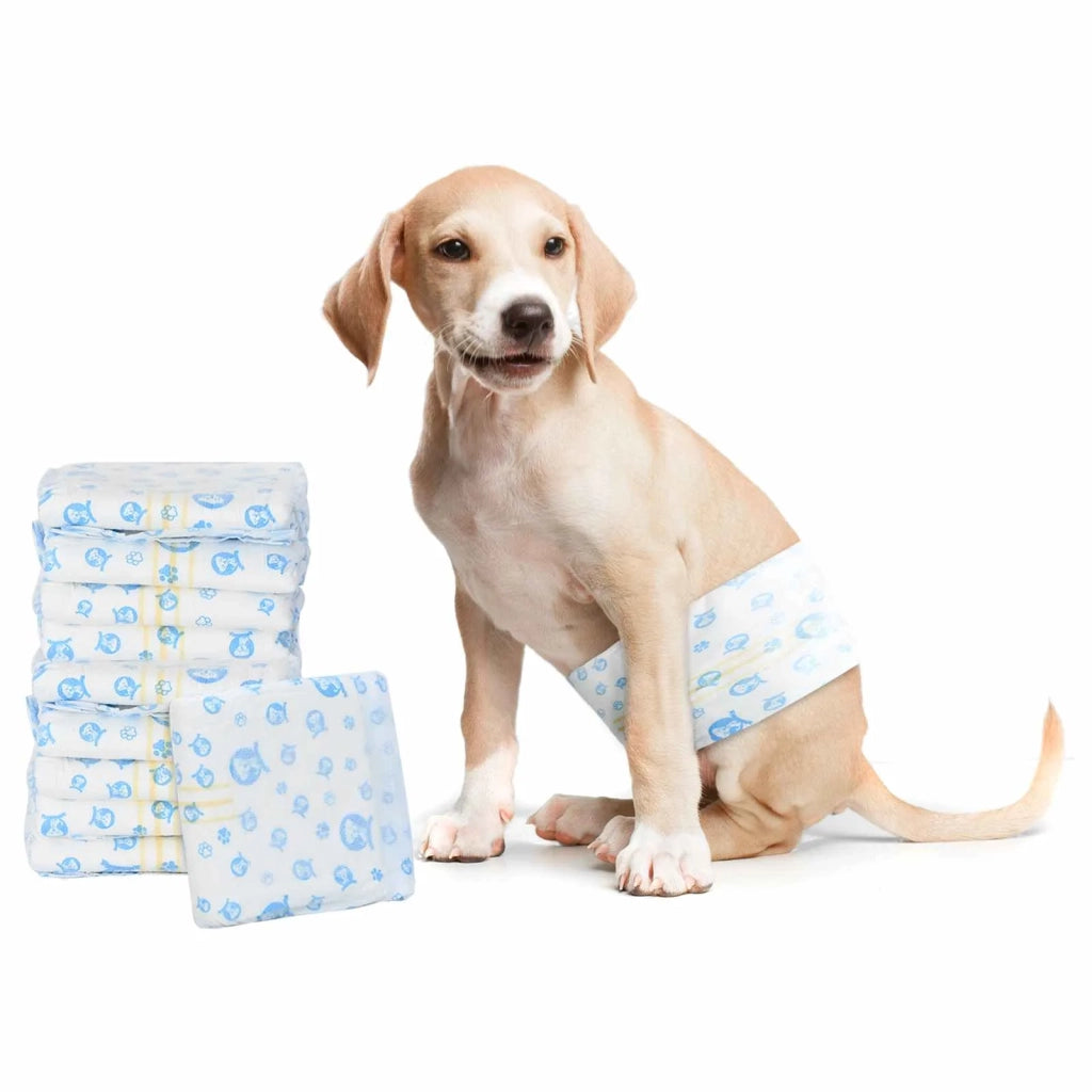 Pannolino usa e getta per cani maschi 30 pcs Bianco XS 42025274