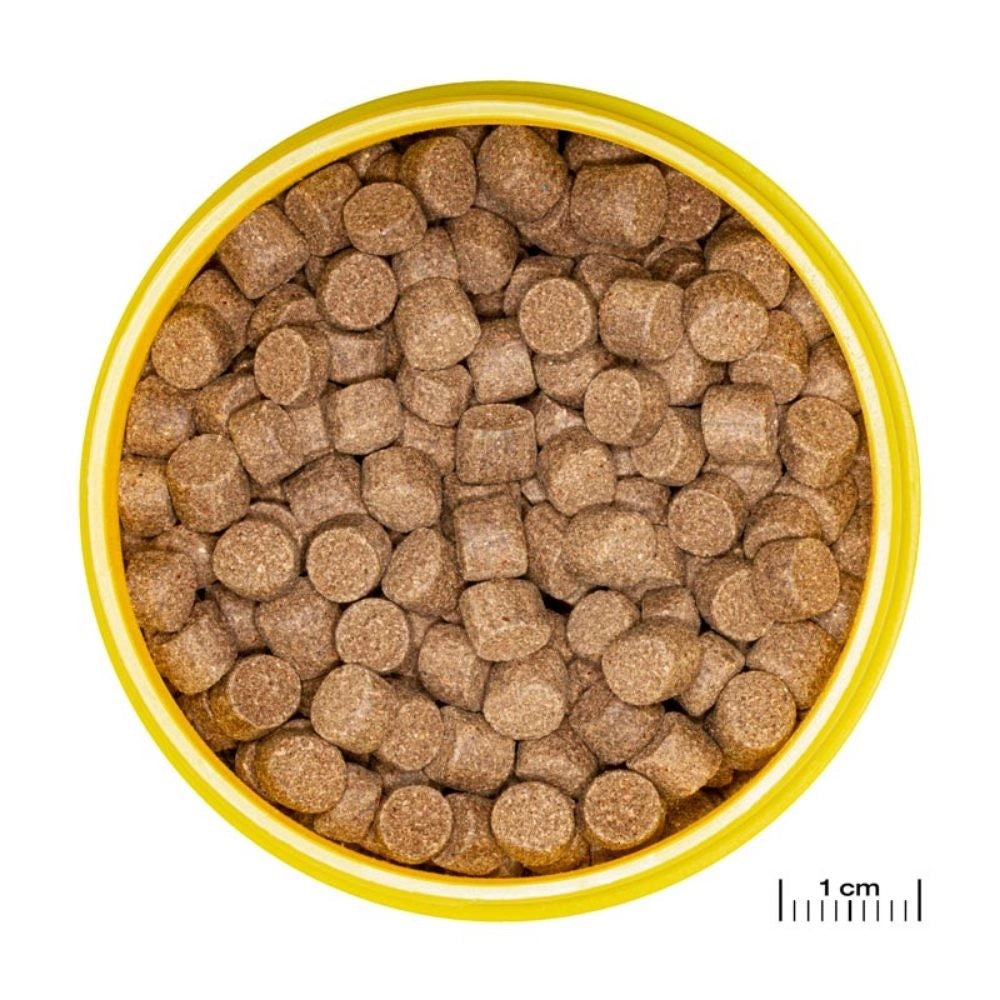 JBL ProNovo Lotl Grano XL 250ml - Mangime base in granuli per Assolotti e Tritoni da 15 a 25cm