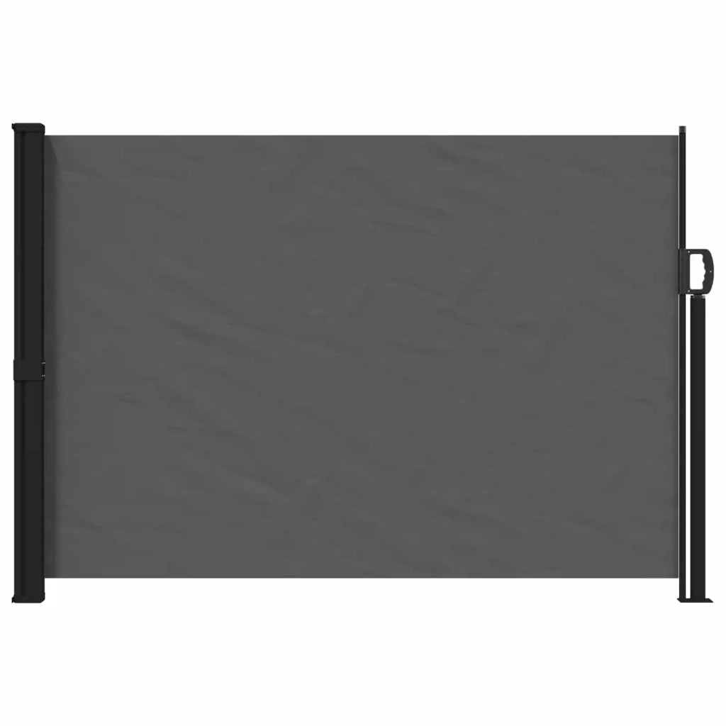 Tenda laterale retrattile Antracite 300 x 170 cm Poliestere