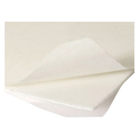 feltrino biadesivo mm 85 x 100 pz. 1 cf. 50 pz cod:ferx.310850nlm