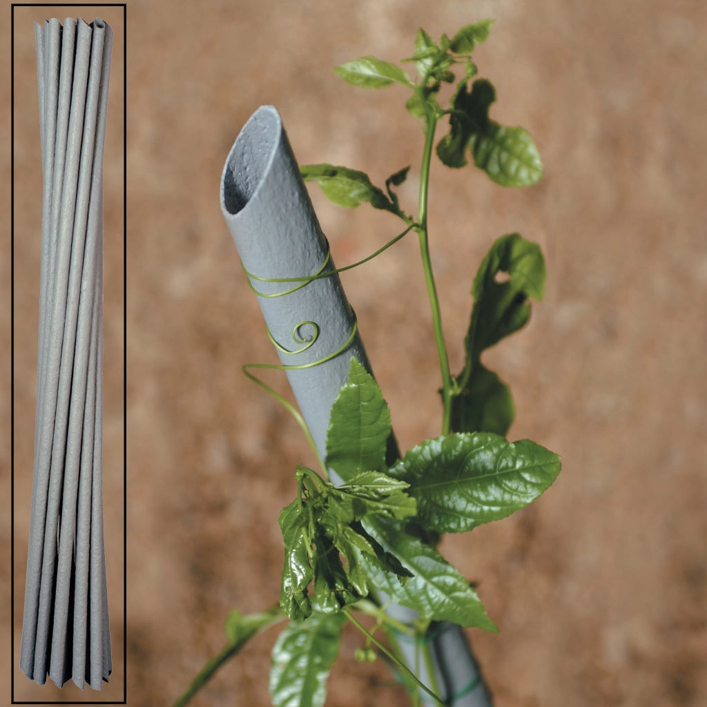 CANNETTA PVC P/PIANTE VIGNA D 27XH230 CM- EDILMED- 20,0 pz