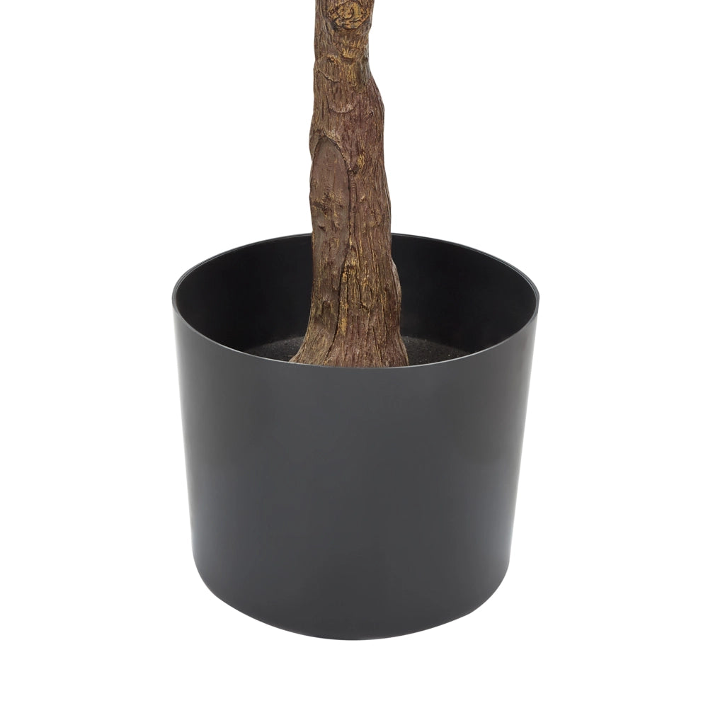 Pianta a artificiale ficus in vaso verde e Nero sintetico 160 cm Materiale accessorio decorativo per interni