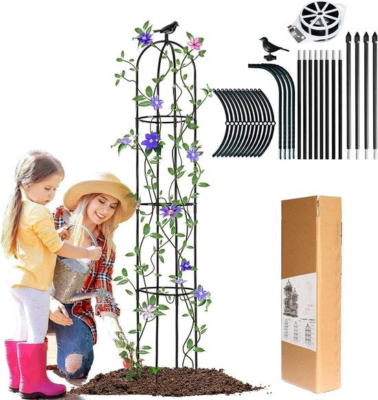 Tavolo a Sostegno per Piante Obelisco - Cassetta per Pomodori Robusta 2022 con Disegno di Uccello