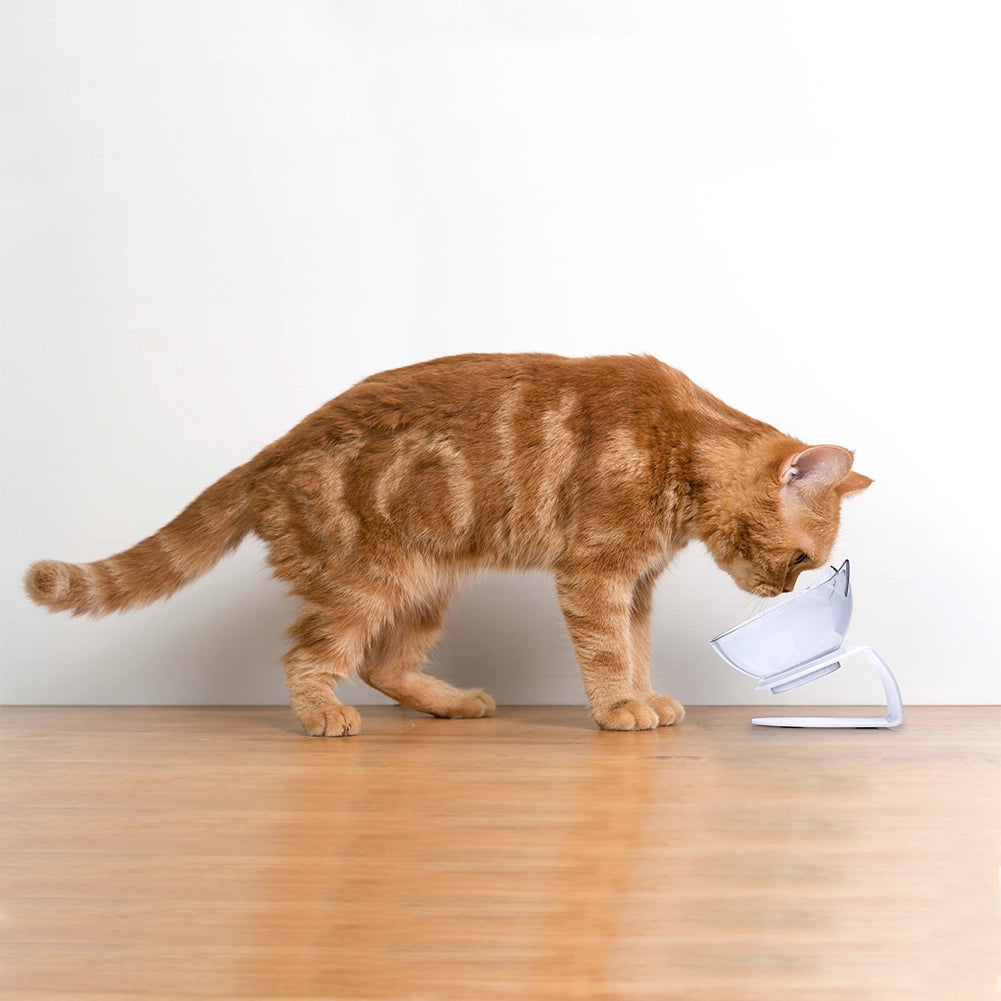 Ciotola per Gatti e Cani Supporto Rialzato Dispenser Animali Inclinazione 15°