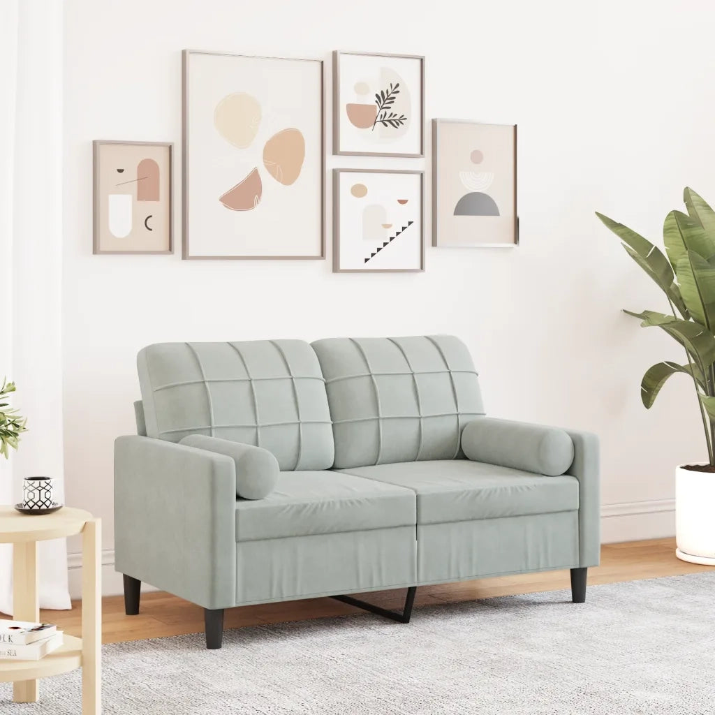 Divano | Divano da soggiorno | Sofa a 2 Posti con Cuscini Grigio Chiaro 120 cm in Velluto
