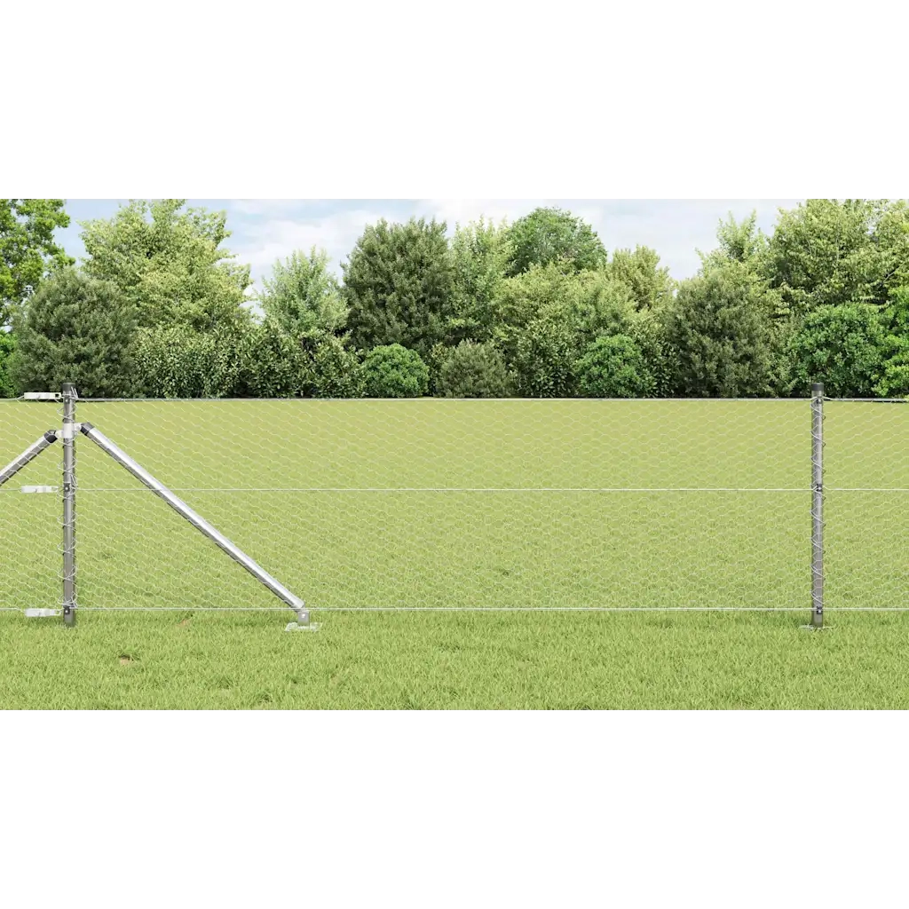 Palo della recinzione Argento 50 x 0,6 m (maglia da 25 mm)