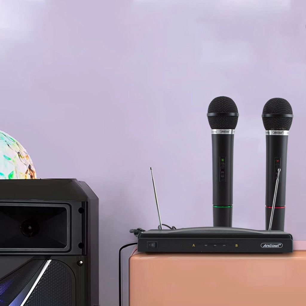 Microfoni Wireless per Karaoke Ricevitore 2 Canali Canto e Presentazioni