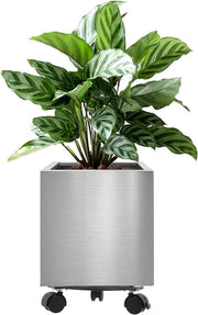 Vaso quadrato in acciaio inossidabile - 30 cm - Decorazione giardino per casa