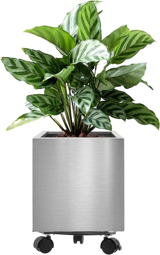 Vaso quadrato in acciaio inossidabile - 30 cm - Decorazione giardino per casa