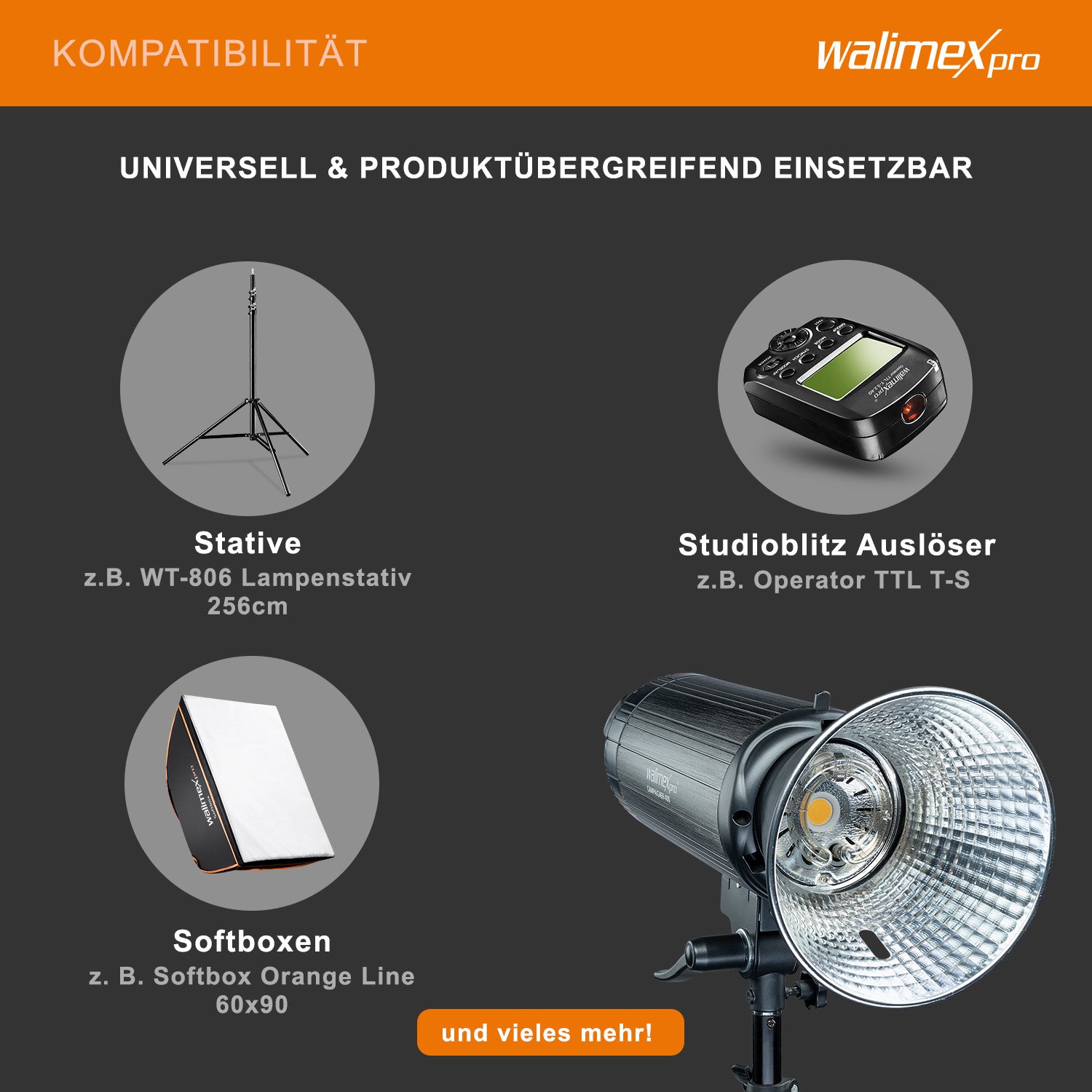 Campaigner 600 flash fotografico da studio, luce LED da 400 W per foto e video, con ricevitore a 2,4 GHz, breve tempo di spegnimento del flash, ideale per studi fotografici