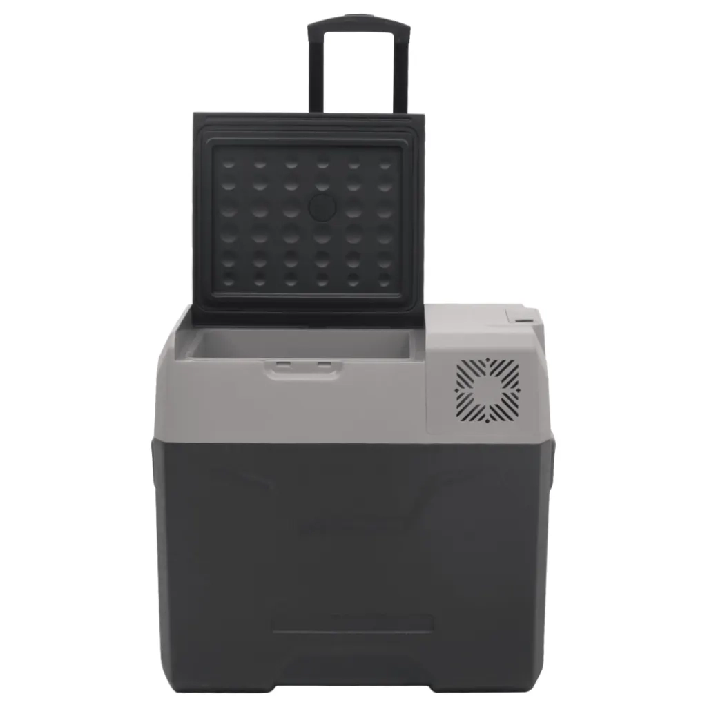 Borsa Frigo con Ruote Adattatore Nera Grigia 40 L Polipropilene CFW9714882
