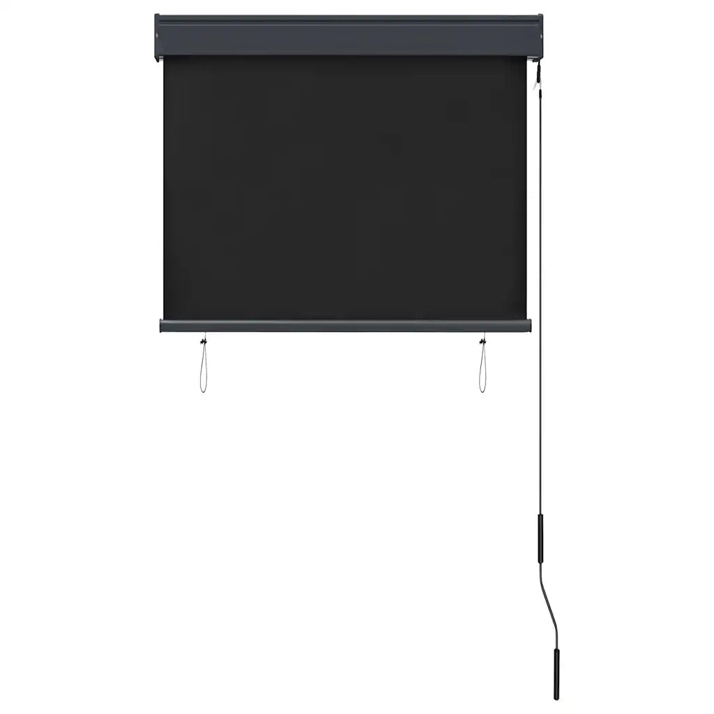 Tenda a Rullo per Esterni 80x250 cm Antracite 145952