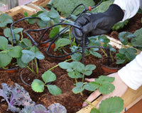 Kit Per Irrigazione A Goccia