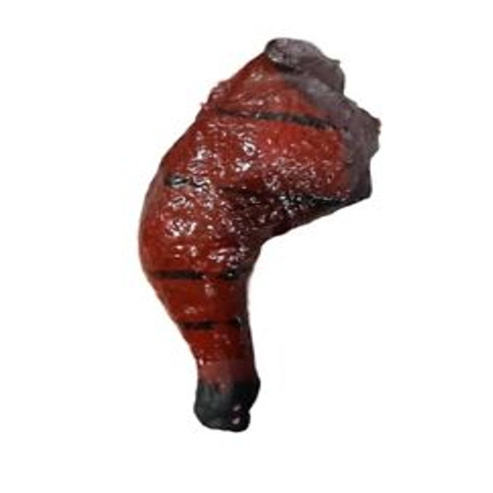 Trade Shop - Gioco Per Cani Animali Domestici A Forma Di Coscia Barbecue Gomma Suoni -