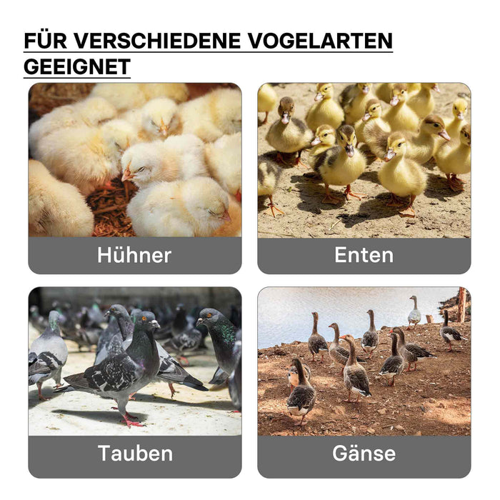 Fudajo Chioccia artificiale 40x60cm 66W Piastra termica per 45-50 pulcini con temperatura regolabile