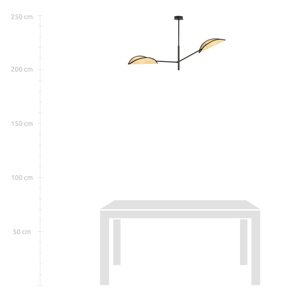 Lampadario 2 Luci Eridano In Acciao Nero E Rattan Con Bracci Mobili