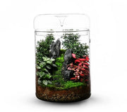 Bioloark Luji Glass Cup MY-180H cm18x26,5h - terrario in vetro con coperchio e sistema di recupero dell'acqua