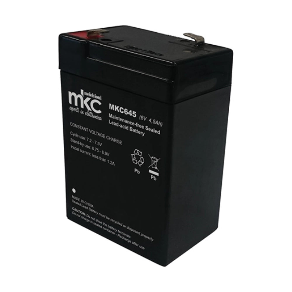 Batteria piombo 6 volt 4,0 ampere ricaricabile
