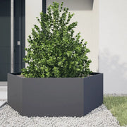 Fioriera da Giardino-Vaso da Esterno Antracite Esagono 138x120x45 cm in Acciaio
