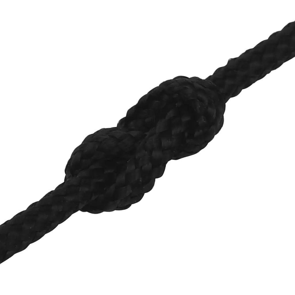 Corda da Lavoro Nera 2 mm 50 m in Poliestere 152793