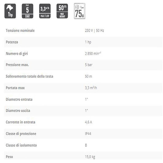 Ff-group jet 1000 l da 1hp elettropompa autodescante di superficie