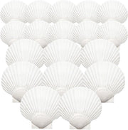 18 Stuks Grote Natuurlijke Schelpen per Decorazione