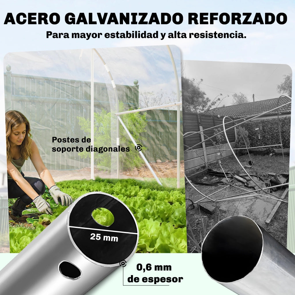 Serra Tunnel da Giardino 3x2x2m ¨C Xylo ¨C Struttura Acciaio Galvanizzato con Copertura PE Anti-UV Trasparente